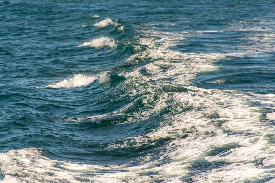 Water Signs in Astrology: Cancer, Scorpio, and Pisces Explained