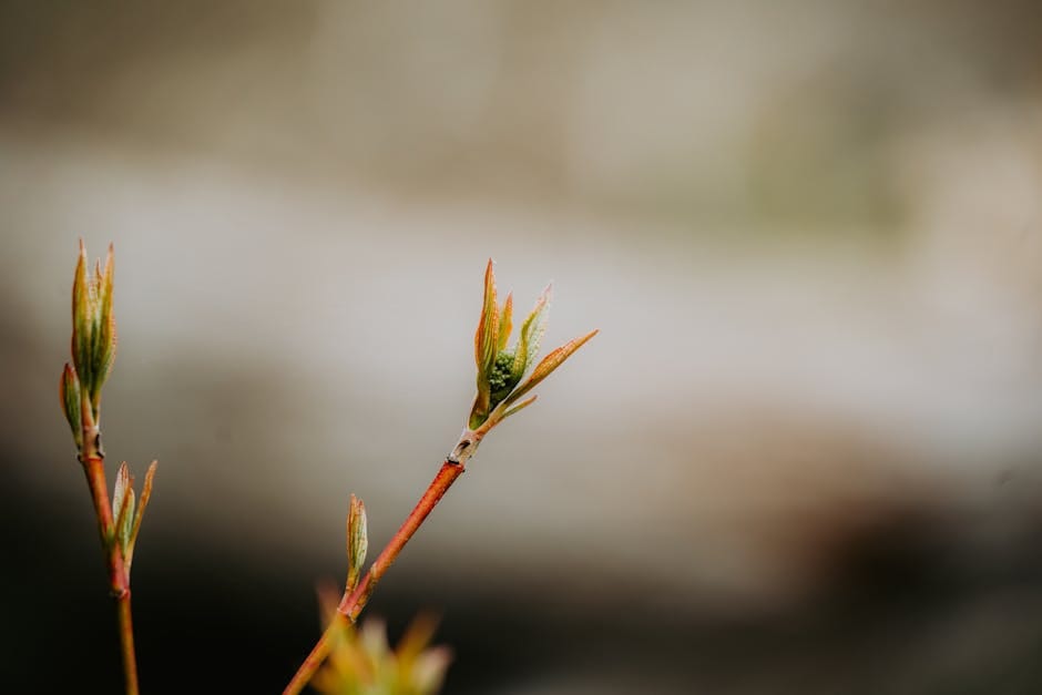 What Is a Progressed Chart and How Is It Different From Your Natal?