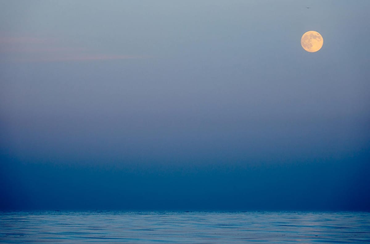 moon in pisces astrology