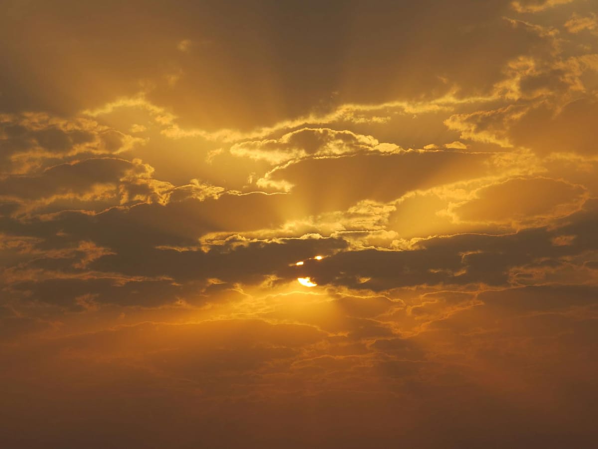 God's Favorite Zodiac Sign — A Reading From Scripture and Astrology