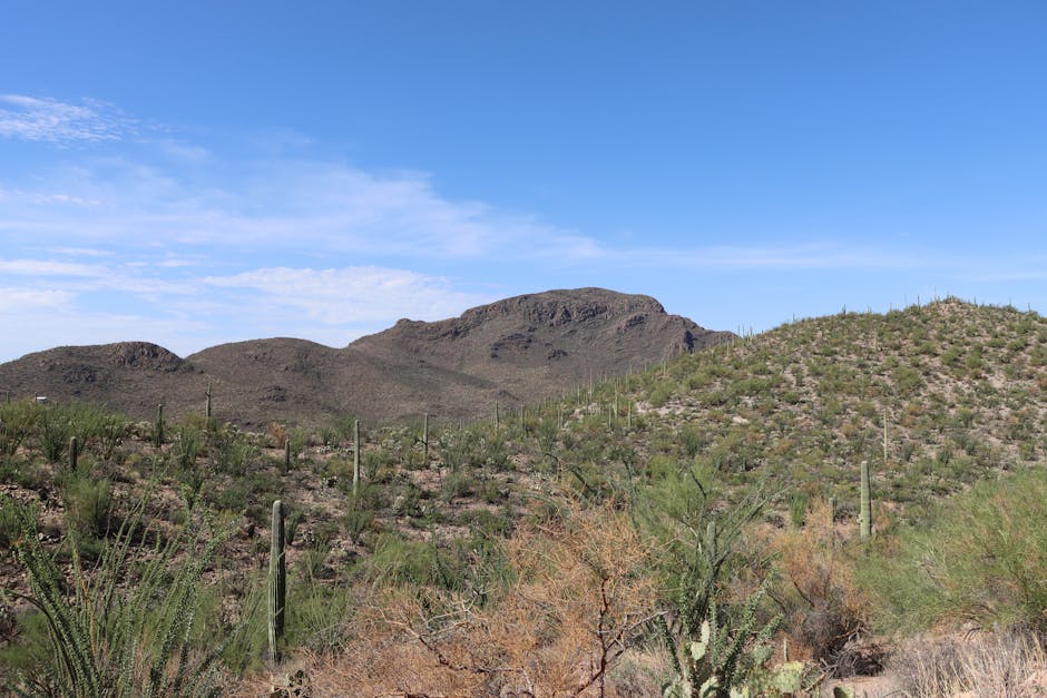 Astrologers in Arizona — Verified Directory