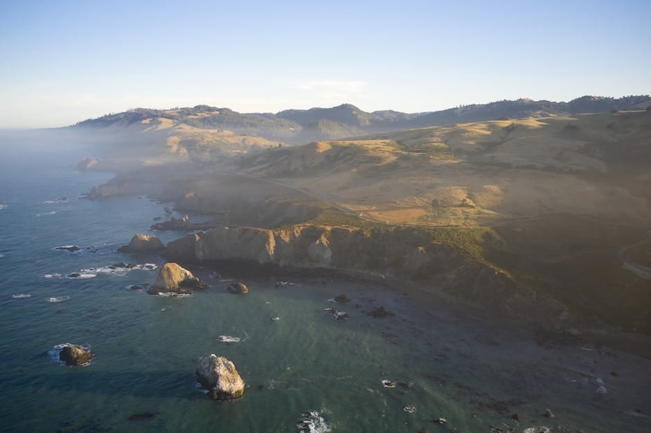 Astrologers in California — Verified Directory