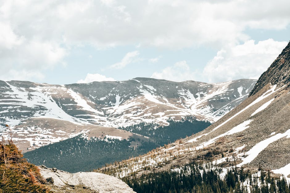 Astrologers in Colorado — Verified Directory