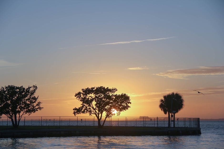 Astrologers in Florida — Verified Directory