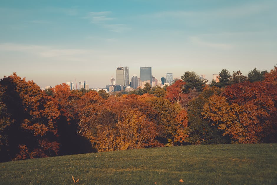 Astrologers in Massachusetts — Verified Directory