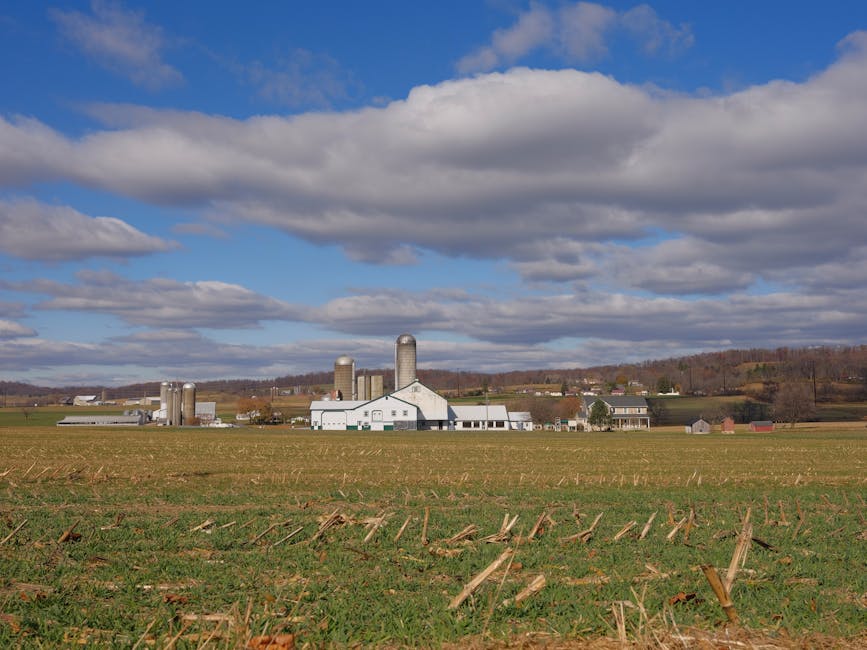 Astrologers in Pennsylvania — Verified Directory