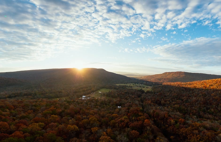 Astrologers in Tennessee — Verified Directory