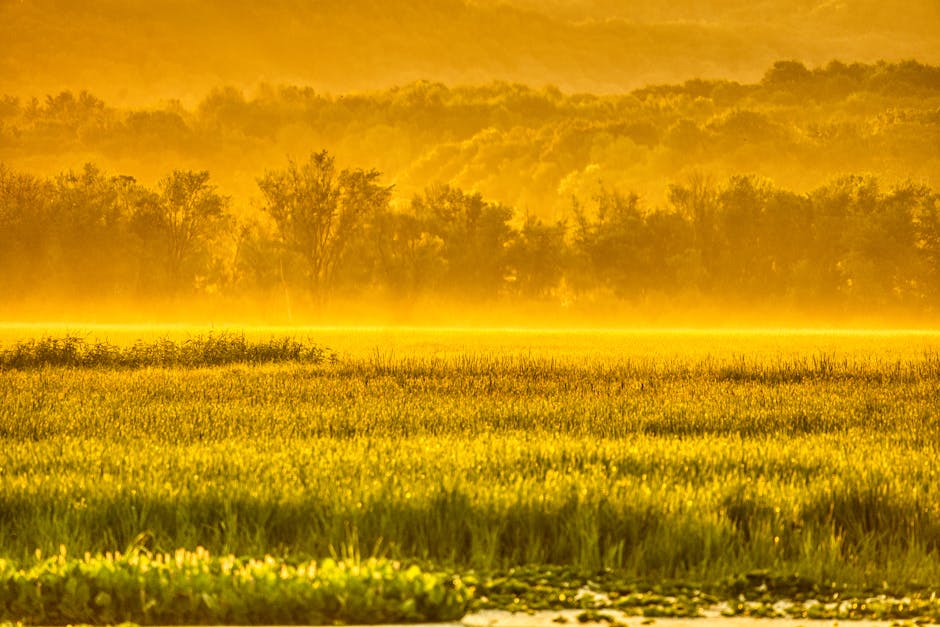 Sun in Aquarius: Meaning, Traits, and Chart Impact