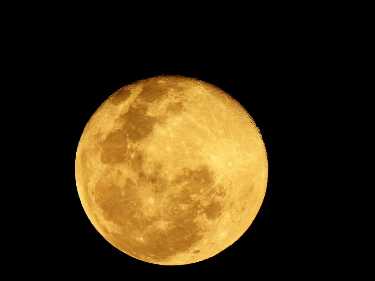 Moon in Leo: Expression, Warmth, and the Need to Be Seen