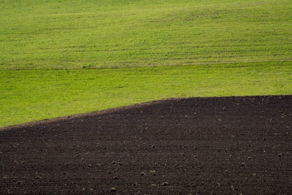 Grand Trine in Earth Signs: Practical Gifts and Material Flow