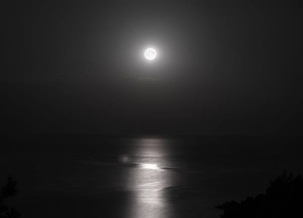 Moon Cycles and Your Nervous System: An Astrology Guide