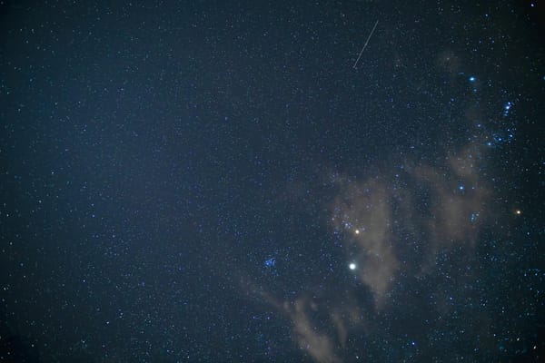 astrology oracle cards