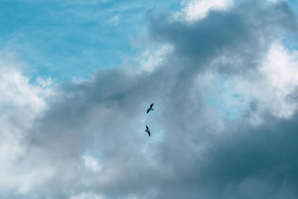 Gemini Zodiac Sign: Dates, Traits & Compatibility