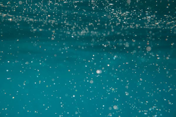 Pisces Zodiac Sign: Dates, Traits & Compatibility